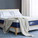 Illustration for article titled A Detailed Review of BedStory Premium Mattresses